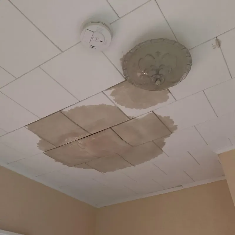 Ceiling Water Damage Repair in La Homa, TX