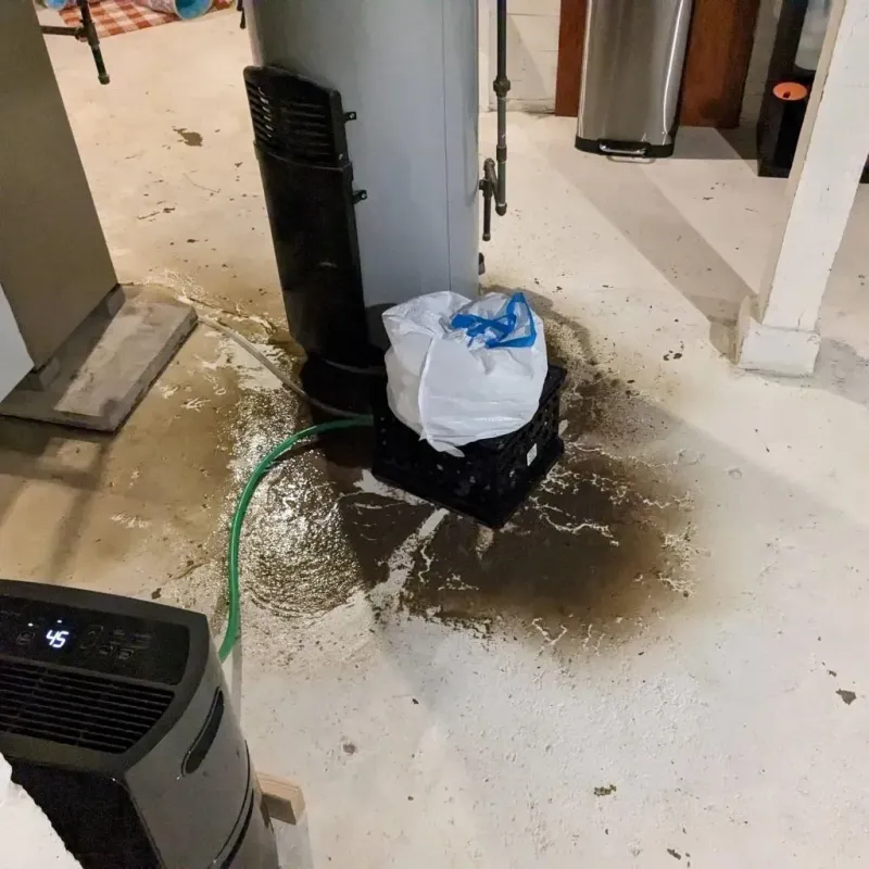 Sewage Backup Cleanup Service in La Homa, TX